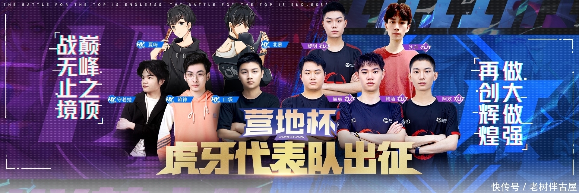 新与体系化 新与体系化